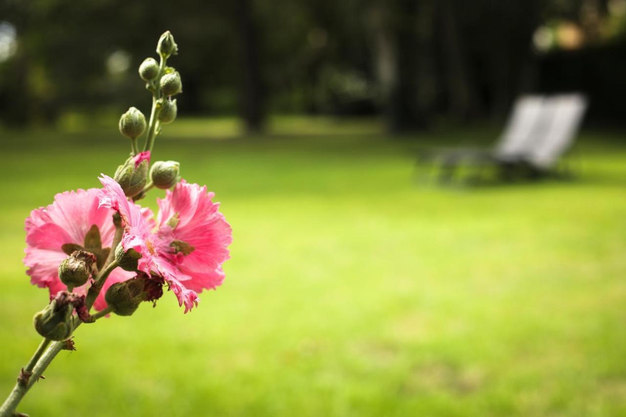 La Belle Monsoise Bed & Breakfast Екстериор снимка
